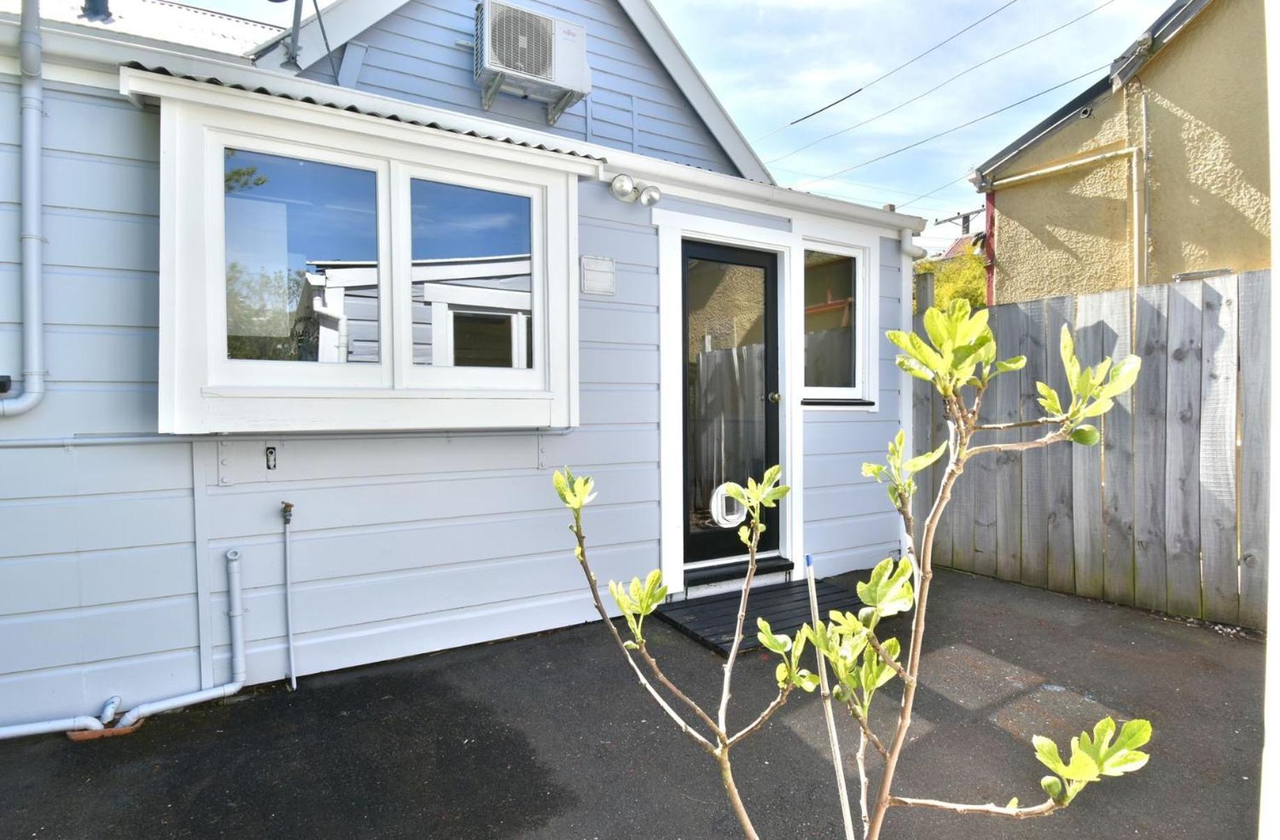 In Dunedin'S Heart, Full House, Full Sun, Full Chill, Why Stay At A Hotel When You Can Afford An Entire House מראה חיצוני תמונה