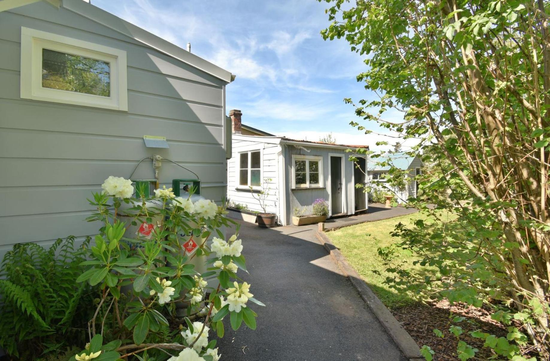 In Dunedin'S Heart, Full House, Full Sun, Full Chill, Why Stay At A Hotel When You Can Afford An Entire House מראה חיצוני תמונה