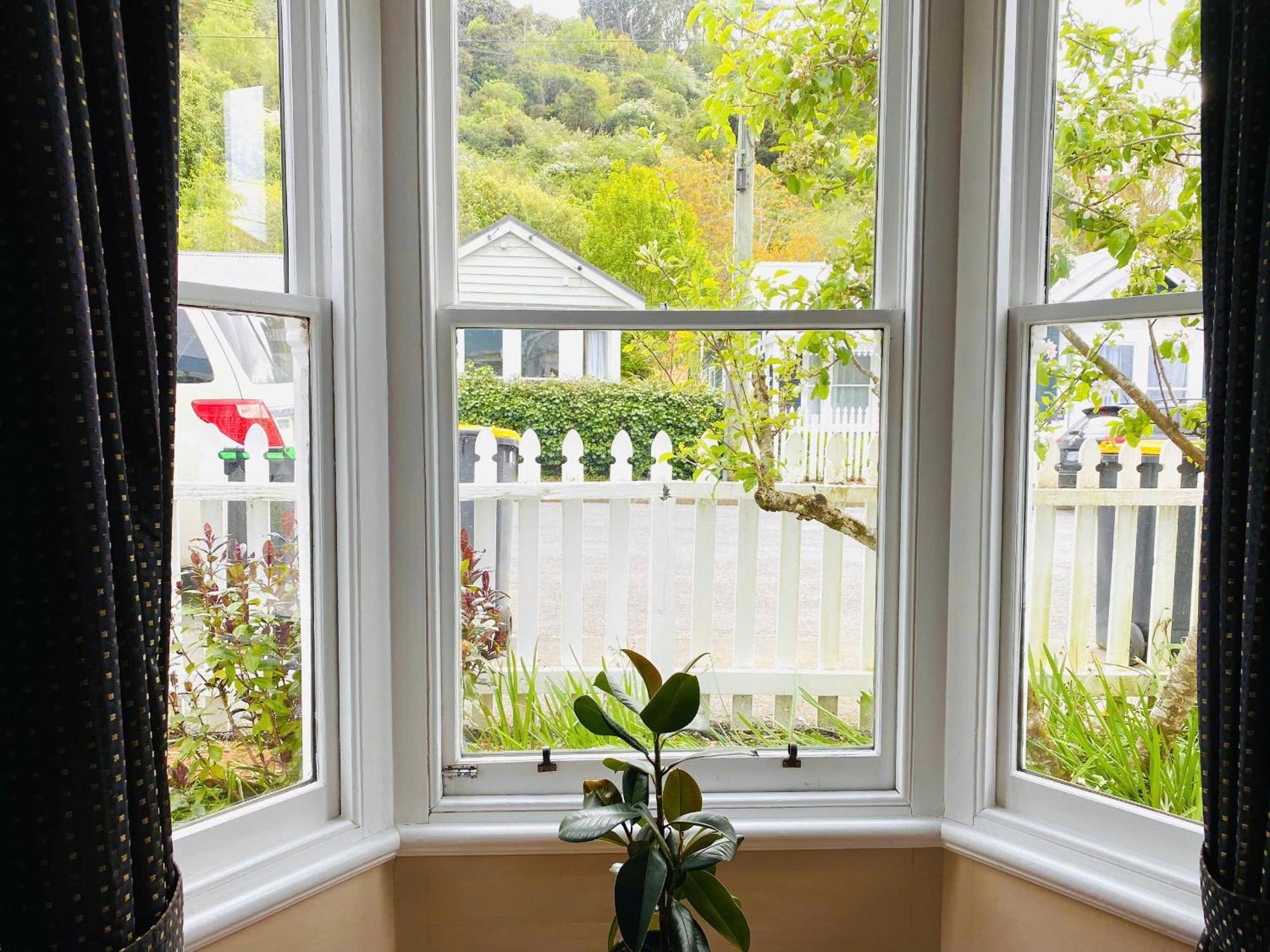 In Dunedin'S Heart, Full House, Full Sun, Full Chill, Why Stay At A Hotel When You Can Afford An Entire House מראה חיצוני תמונה